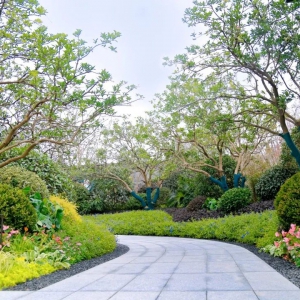 別墅庭院設(shè)計(jì)的后期如何養(yǎng)護(hù)沉默寡言？